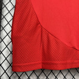 2024-25 Benfica Home 1:1 Fans Soccer Jersey