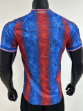 2024-25 Crystal Palace Home Player Version Soccer Jersey