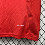 2024-25 Benfica Home 1:1 Fans Soccer Jersey