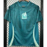 2024-25 Mexico Green Blue Training shirts