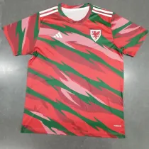 2024-25 Wales Red Training shirts