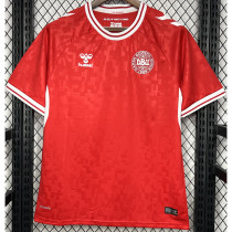 2024-25 Denmark Home Fans Soccer Jersey 胶标