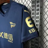2024-25 Alaves Third Fans Soccer Jersey