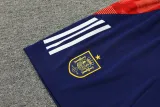 2024-25 Spain Royal blue Training Short Suit