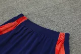 2024-25 Spain Royal blue Training Short Suit