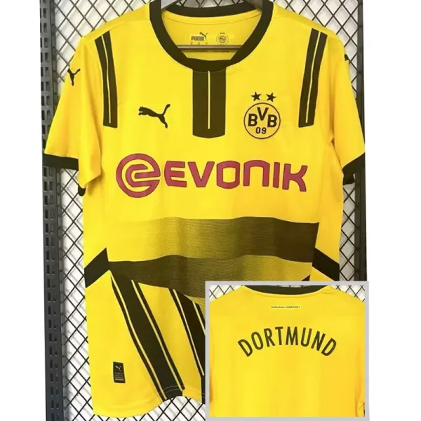 2024-25 Dortmund Cup Match Edition Fans Soccer Jersey