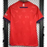 2024-25 Osasuna Home Fans Soccer Jersey