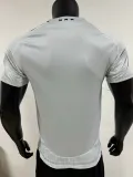 2024-25 Ajax Third Player Version Soccer Jersey