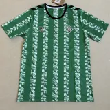 2024-25 Real Betis Green Special Edition Fans Soccer Jersey