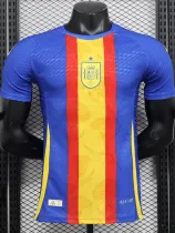 2024-25 Spain Blue Player Version Training shirts