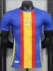 2024-25 Spain Blue Player Version Training shirts