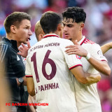 2024-25 Bayern Third Fans Soccer Jersey