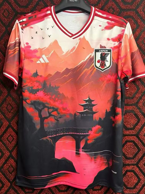2024-25 Japan Red Special Edition Fans Training Shirts (夕阳红)
