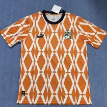 2023-24 Ivory coast Orange Special Edition Fans Soccer Jersey