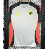 2024-25 Benfica Grey Training Shirts