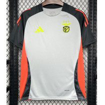 2024-25 Benfica Grey Training Shirts
