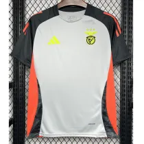 2024-25 Benfica Grey Training Shirts