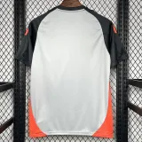 2024-25 Benfica Grey Training Shirts