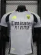2024-25 Benfica Third Player Version Soccer Jersey