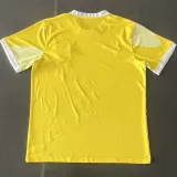2024-25 Brazil Special Edition Training Soccer Jersey *城市版
