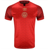 2024-25 Bournemouth Red Special Edition Fans Soccer Jersey