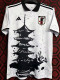2024-25 Japan White Special Edition Fans Training Shirts (独塔)