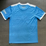 2021-22 Napoli Sky blue Commemorative Edition Fans Soccer Jersey