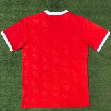2024-25 Bayern Red Casual style Fans Training shirts