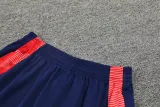 2024 AD Royal blue Tank top and shorts suit
