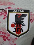 2024-25 Japan Special Edition Player Version Soccer Jersey (梅花与桥)
