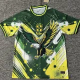 2024-25 Brazil Green Yellow Special Edition Training Soccer Jersey