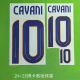 2024-25 Boca Juniors Away Player Version Soccer Jersey