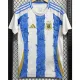 2024-25 Argentina Blue White Special Edition Fans Soccer Jersey (太阳神)