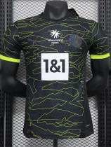 2024-25 Dortmund Grey Black Special Edition Player Version Soccer Jersey