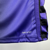 2023-24 Kings DEROZAN #10 Purple Top Quality Hot Pressing NBA Jersey (Trapeze Edition)飞人版