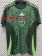 2024-25 Algeria Away 2 Stars Fans Soccer Jersey (带二星)