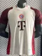 2024-25 Bayern Khaki Brown Special Edition Player Version Soccer Jersey