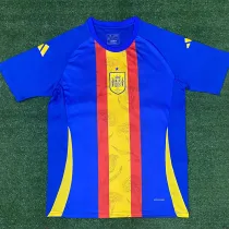 2024-25 Spain Blue Training shirts
