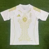 2024-25 Algeria White Special Edition Fans Training shirts
