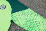 2024-25 Palmeiras Green Jacket Tracksuit #A741