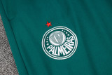 2024-25 Palmeiras Dark green Jacket Tracksuit #A742