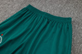 2024-25 Palmeiras Dark green Jacket Tracksuit #A742