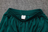 2024-25 Palmeiras Dark green Jacket Tracksuit #A742