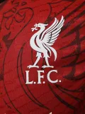 2025-26 LIV Red Special Edition Player Version Training shirts