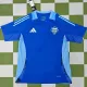 2024-25 Como Blue Training Shirts