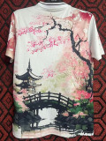 2024-25 Japan Special Edition Fans Training Shirts (梅花与桥)