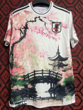 2024-25 Japan Special Edition Fans Training Shirts (梅花与桥)