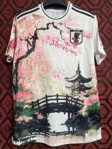 2024-25 Japan Special Edition Fans Training Shirts (梅花与桥)