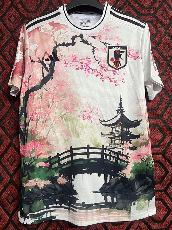 2024-25 Japan Special Edition Fans Training Shirts (梅花与桥)