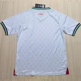 2024-25 Palestina Home Fans Soccer Jersey